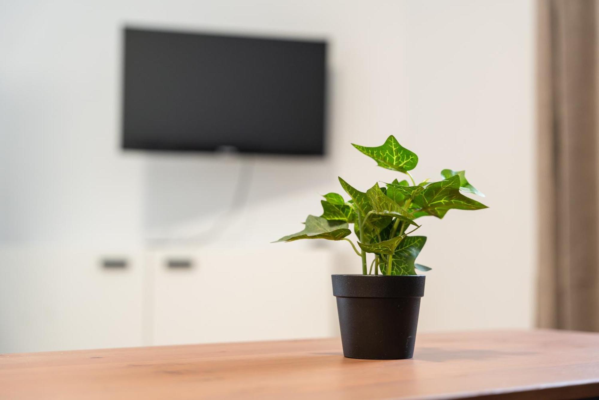 Central Living Apartments - Wielemansgasse ウィーン エクステリア 写真